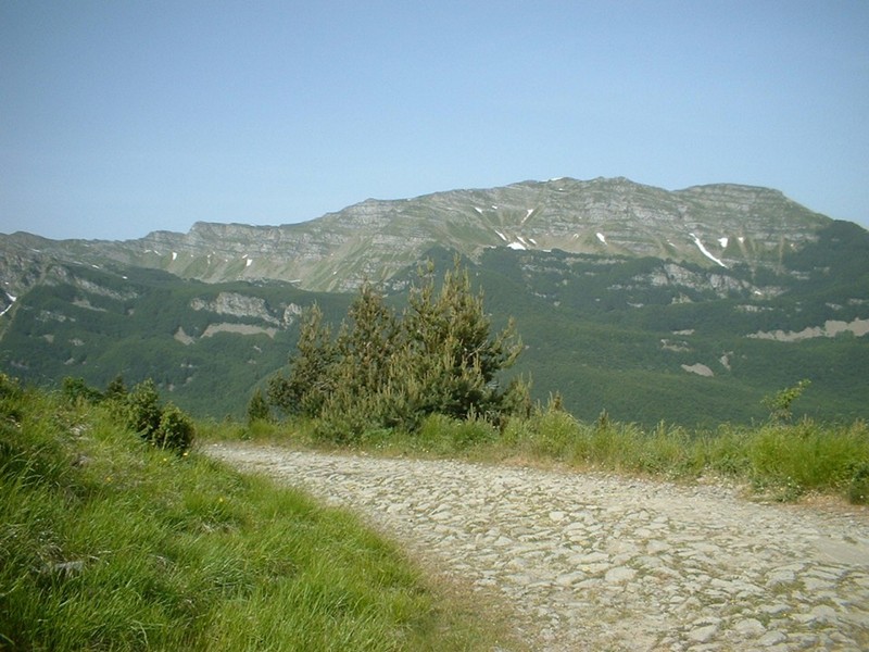 Mount Giovo