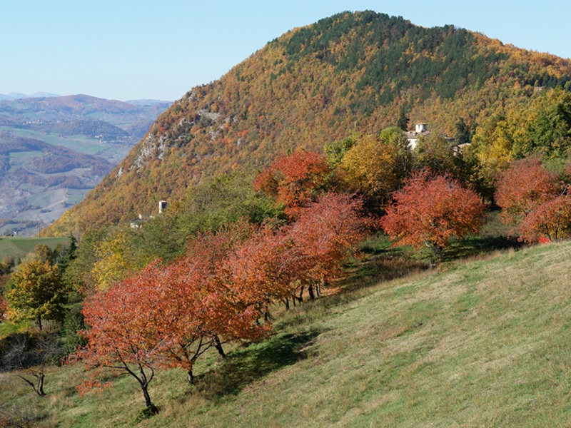 Monte della Riva