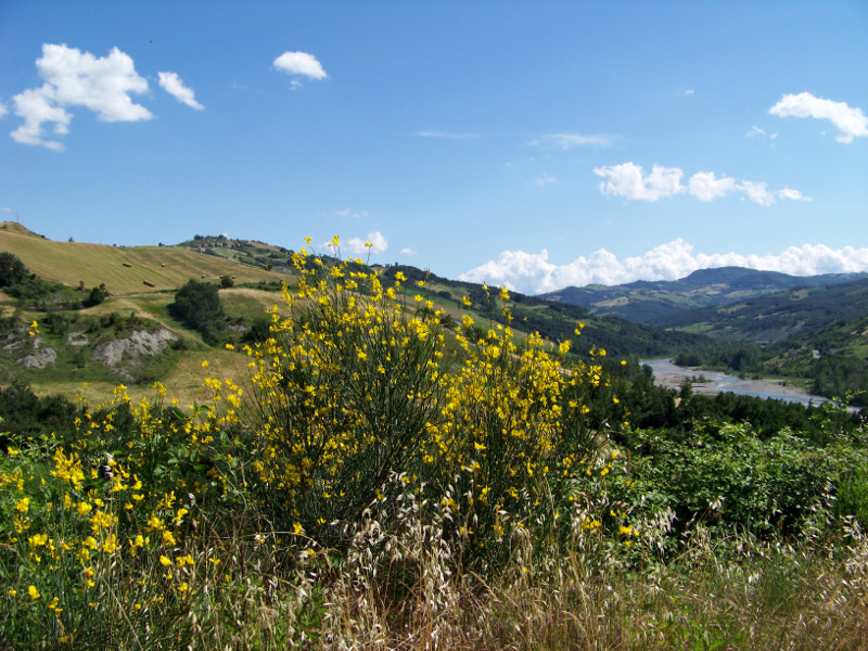 The Panaro Valley