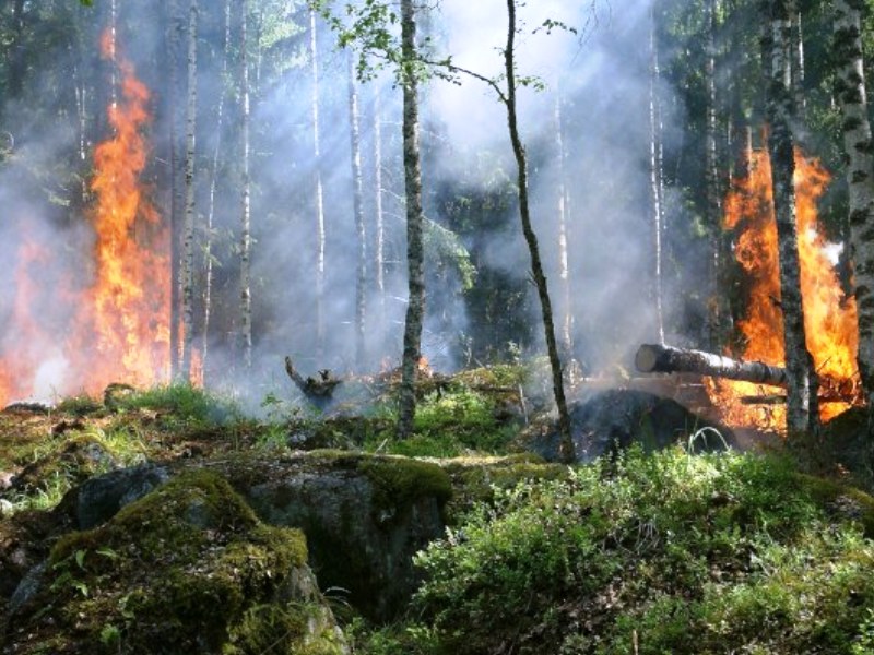 Fase di attenzione incendi boschivi