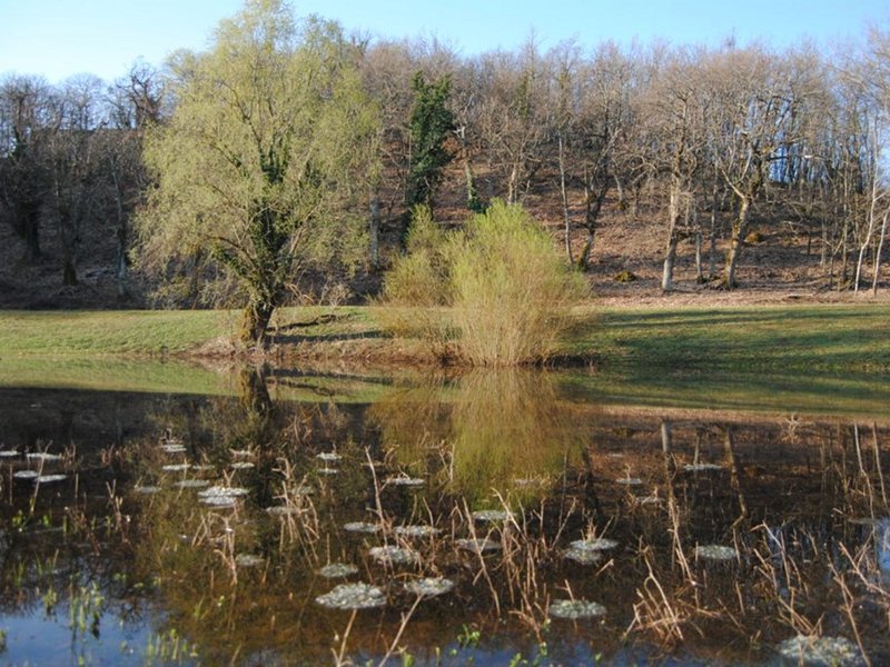 Pond of Sassomassiccio